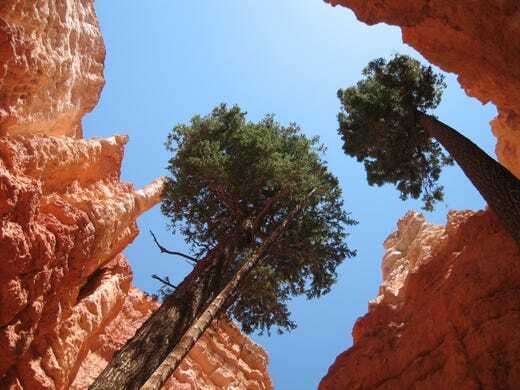 These Are the Best Road Trips to Take inside the U.S., According to a New Study