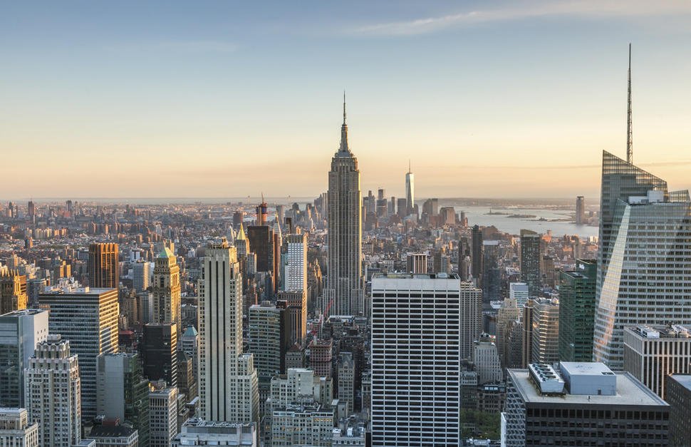 How metropolis slickers continue to exist the jungle