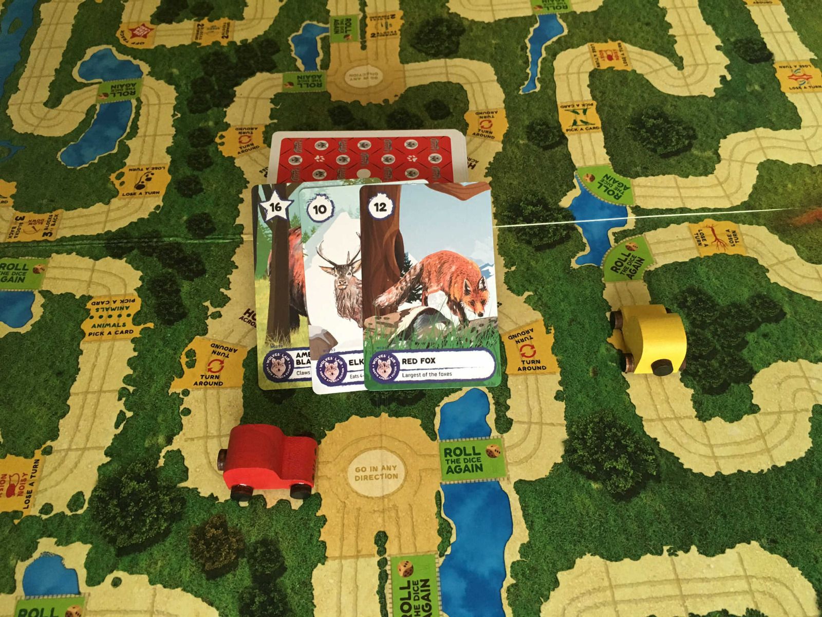 Jungle safari comes domestic with board recreation Kaadoo