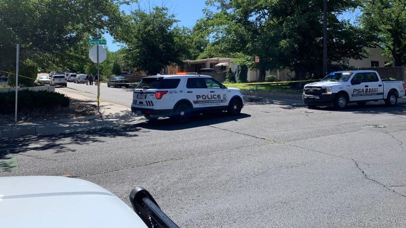 traffic hit the slopes