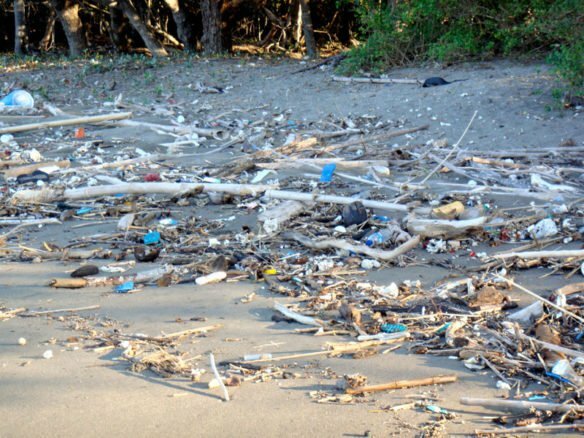Pair Brings Awareness Of Seaside Plastic Pollution One Florida Beach At A Time