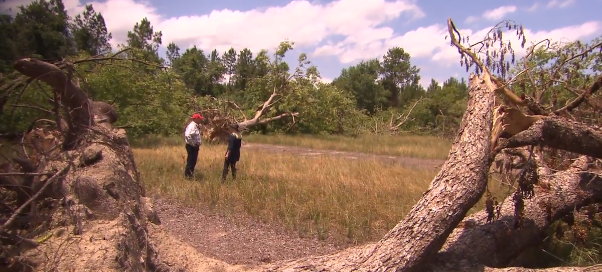 Georgia Outdoors Explores the Impact of Climate Change and Sea Level Rise