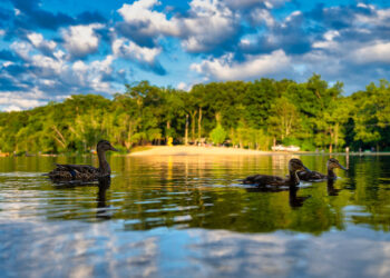 Otter Lake Campground