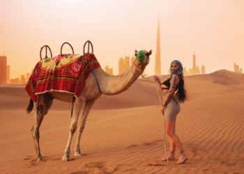 Camel Riding in Dubai
