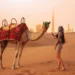Camel Riding in Dubai