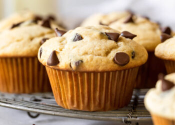 Double Chocolate Chip Muffins 