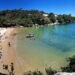 Discovering the Hidden Gem of Portland: Collins Beach